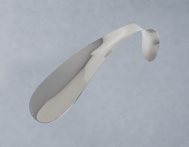 Shoe Horn & Shine